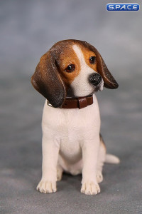 1/6 Scale tri-color Beagle Puppy