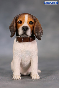 1/6 Scale tri-color Beagle Puppy
