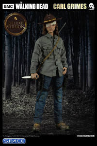 1/6 Scale Carl Grimes Deluxe Version (The Walking Dead)