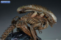 Alien Warrior Mythos Maquette (Alien)