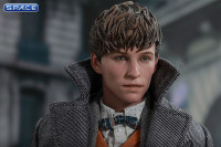 1/6 Scale Newt Scamander Movie Masterpiece MMS512 (Fantastic Beasts: The Crimes of Grindelwald)