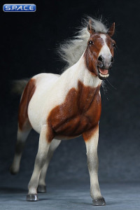 1/6 Scale chestnut & white walking Mongolica Horse