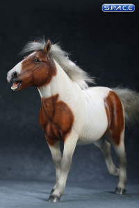 1/6 Scale chestnut & white walking Mongolica Horse