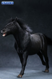 1/6 Scale black walking Mongolica Horse