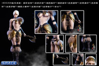 1/6 Scale Female Dragon Warrior Armor Set Version B