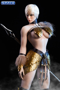 1/6 Scale Female Dragon Warrior Armor Set Version C