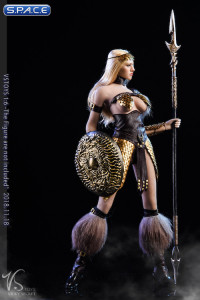 1/6 Scale Female Dragon Warrior Armor Set Version C