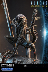 1/4 Scale Scorpion Alien Premium Masterline Statue (Aliens)