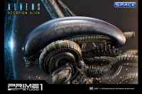 1/4 Scale Scorpion Alien Premium Masterline Statue (Aliens)