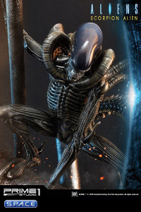 1/4 Scale Scorpion Alien Premium Masterline Statue - Deluxe Version (Aliens)