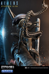 1/4 Scale Scorpion Alien Premium Masterline Statue - Deluxe Version (Aliens)