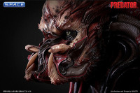 1:1 Kagero Predator Life-Size Bust (Predator)