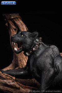 1/6 Scale black Leopard