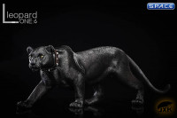 1/6 Scale black Leopard