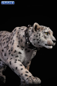 1/6 Scale bright pattern Leopard