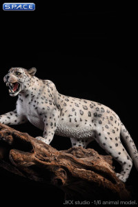 1/6 Scale bright pattern Leopard