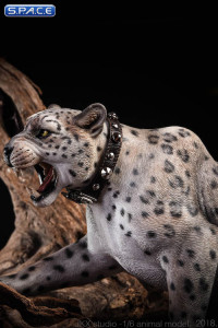 1/6 Scale bright pattern Leopard