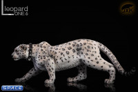 1/6 Scale bright pattern Leopard