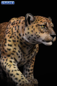 1/6 Scale classic pattern Leopard