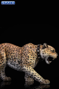 1/6 Scale classic pattern Leopard