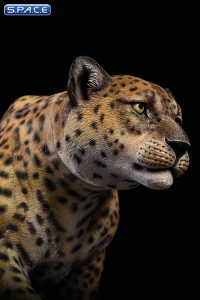 1/6 Scale classic pattern Leopard