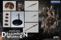 1/6 Scale Dragonborn Warrior