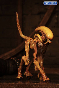 Alien Creature Accessory Pack (Alien 3)