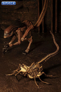 Alien Creature Accessory Pack (Alien 3)