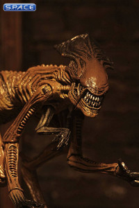 Alien Creature Accessory Pack (Alien 3)