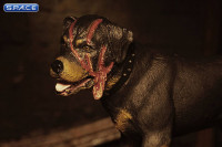 Alien Creature Accessory Pack (Alien 3)