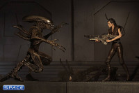 Complete Set of 2: Aliens Series 14 (Alien: Resurrection)