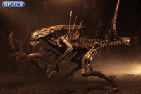 Ultra Deluxe Alien Queen (Alien: Resurrection)