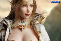 1/6 Scale Elf Cosplay Set