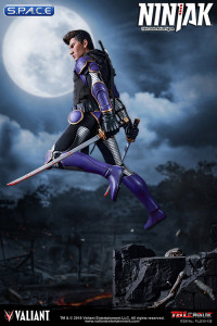 1/6 Scale Ninjak