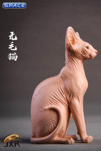 /6 Scale brown Canadian Hairless Cat