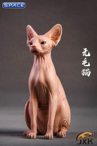 1/6 Scale brown Canadian Hairless Cat