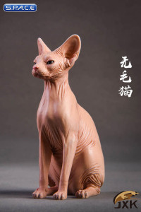 1/6 Scale brown Canadian Hairless Cat