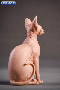 /6 Scale brown Canadian Hairless Cat