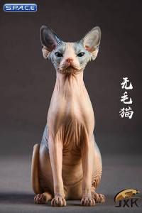 1/6 Scale pale & blue Canadian Hairless Cat