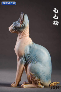 1/6 Scale pale & blue Canadian Hairless Cat