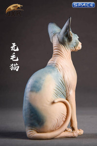 1/6 Scale pale & blue Canadian Hairless Cat