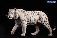 1/6 Scale white Bengal Tiger