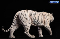 1/6 Scale white Bengal Tiger