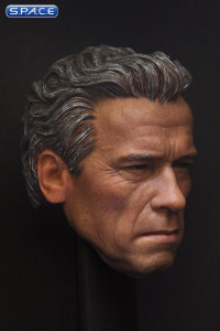 1/6 Scale Guardian Head Sculpt