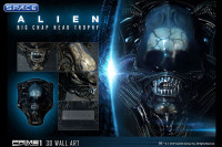 Big Chap Head Trophy 3D Wall Art (Alien)