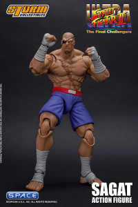 1/12 Scale Sagat (Ultra Street Fighter II: The Final Challengers)