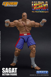 1/12 Scale Sagat (Ultra Street Fighter II: The Final Challengers)