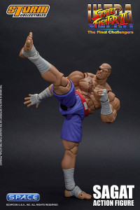 1/12 Scale Sagat (Ultra Street Fighter II: The Final Challengers)