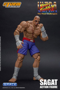 1/12 Scale Sagat (Ultra Street Fighter II: The Final Challengers)