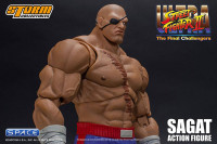 1/12 Scale Sagat (Ultra Street Fighter II: The Final Challengers)